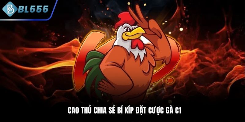 cao thủ chia sẻ bí kíp đặt cược gà c1