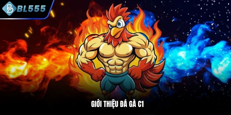 Giới thiệu Đá gà C1