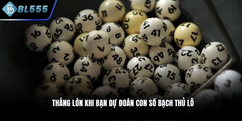 Thắng lớn khi bạn dự đoán con số bạch thủ lô