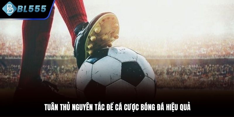 Luôn tuân thủ các nguyên tắc cơ bản khi xuống tiền